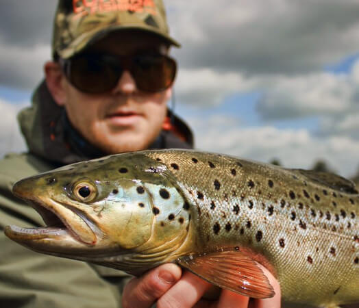 Kalendarz bran pstrag 3