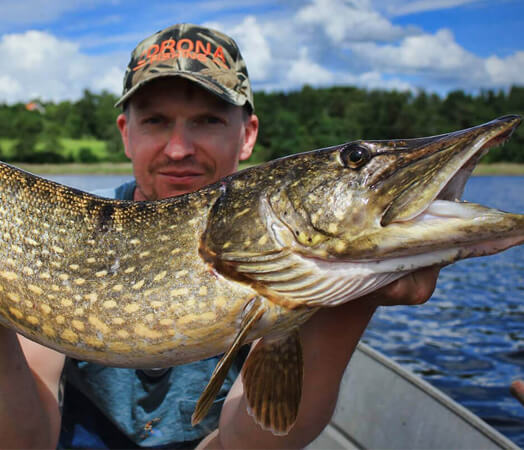 Kalendarz bran szczupak lipiec 2024 5