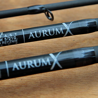 Aurum X