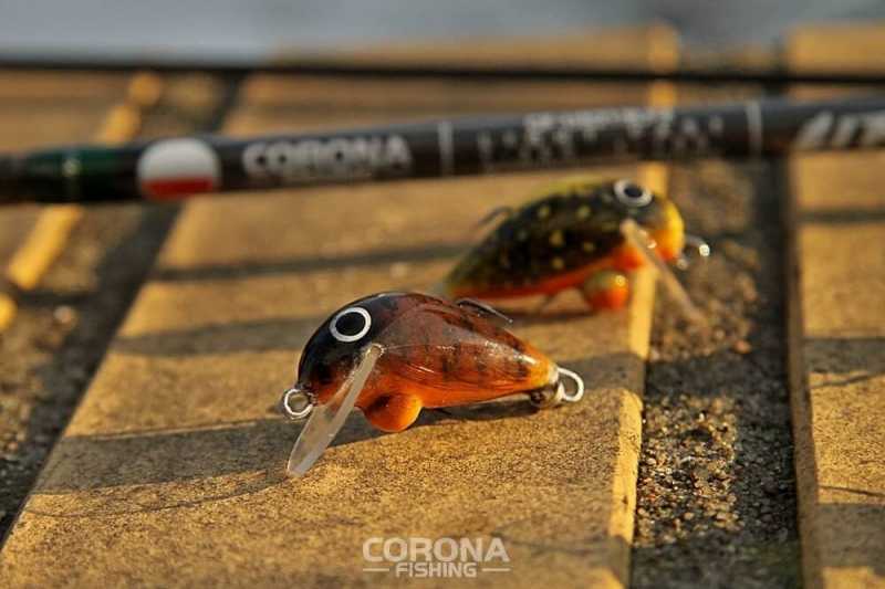 małe woblery na klenia