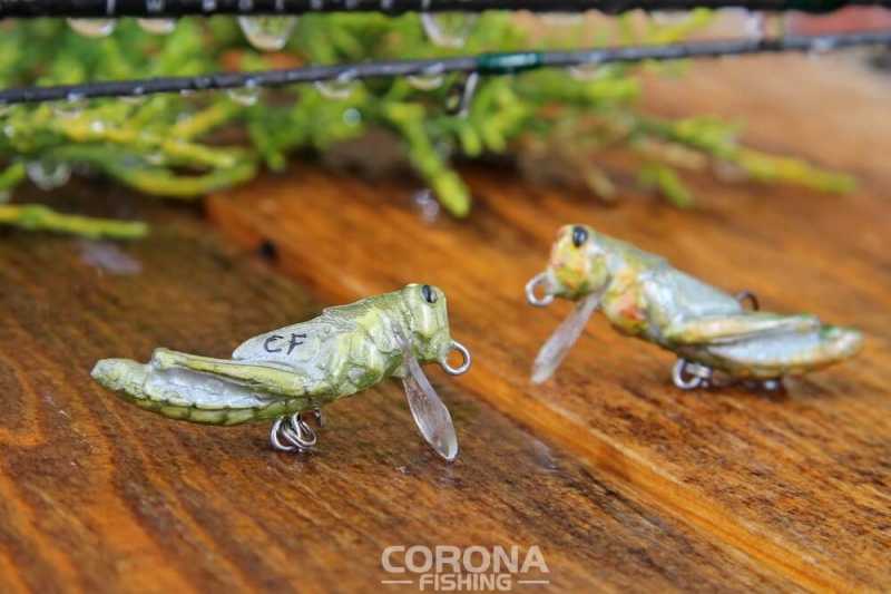 wobler smużak konik polny