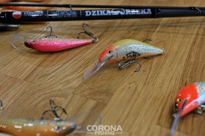 woblery trociowe pk ld