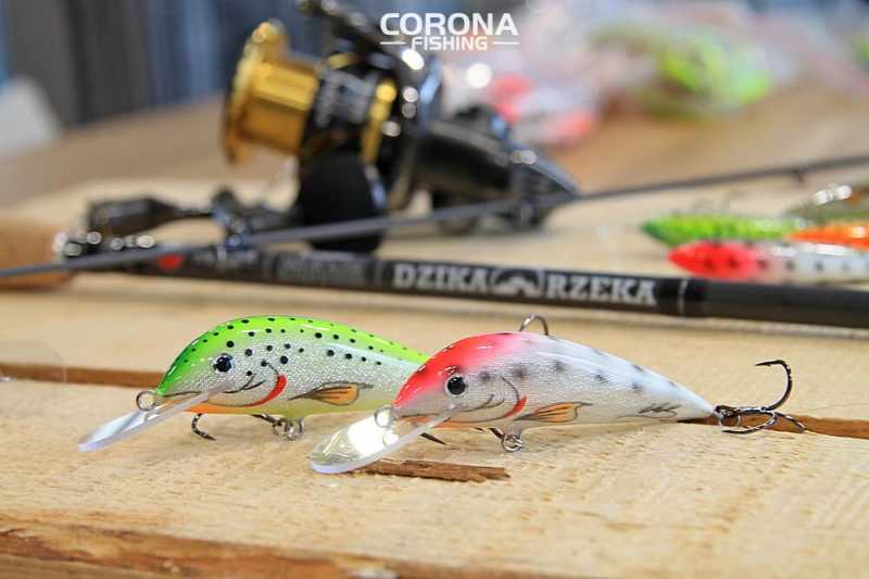 woblery piotr mołdoch