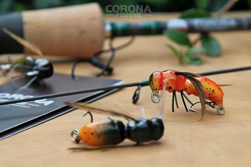 woblery smużaki szerszeń