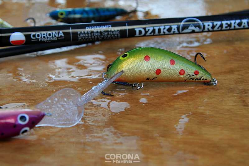 woblery trociowe drwęca