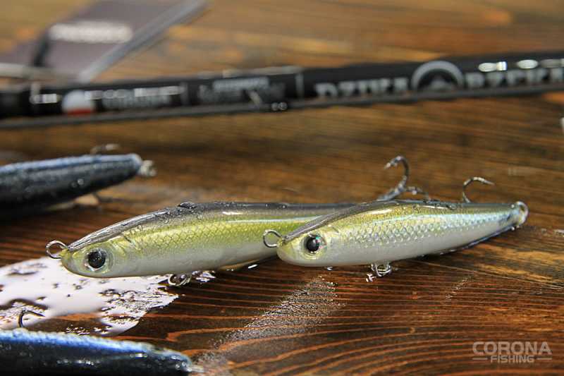 woblery na trocie morze