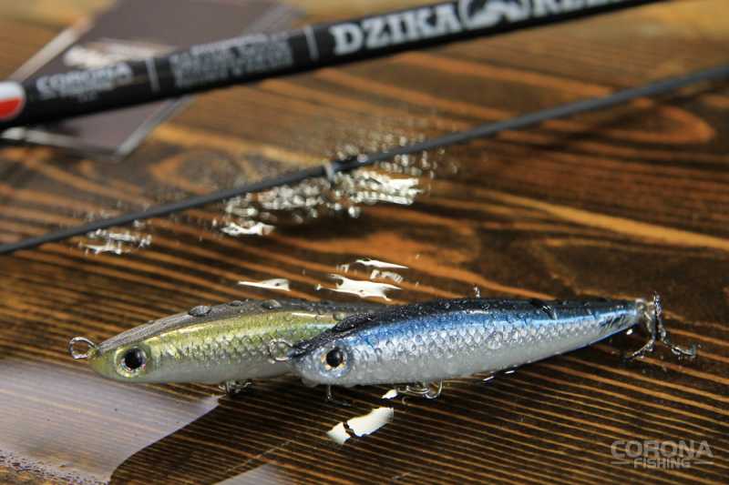 woblery na morskie trocie