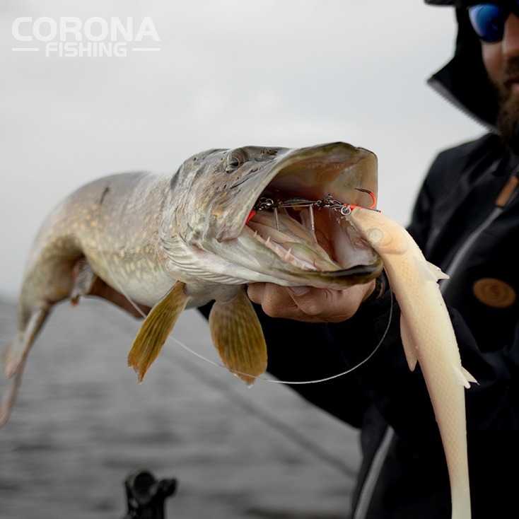 mocna dozbrojka do gumy