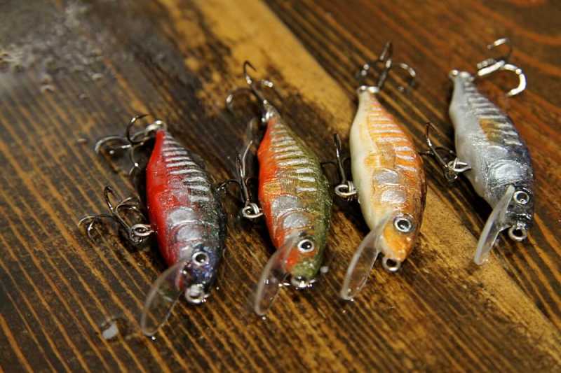 woblery tomasz miernik