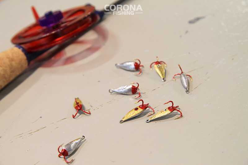 żuczek podlodowy duży