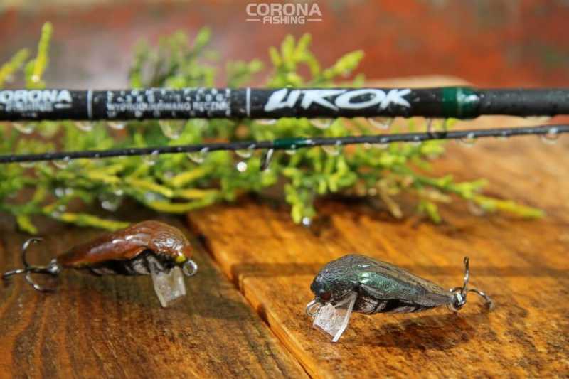 duży smużak na klenia