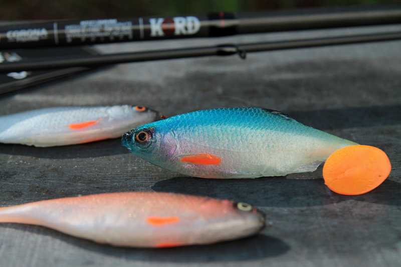 gumy tomasz miernik tm