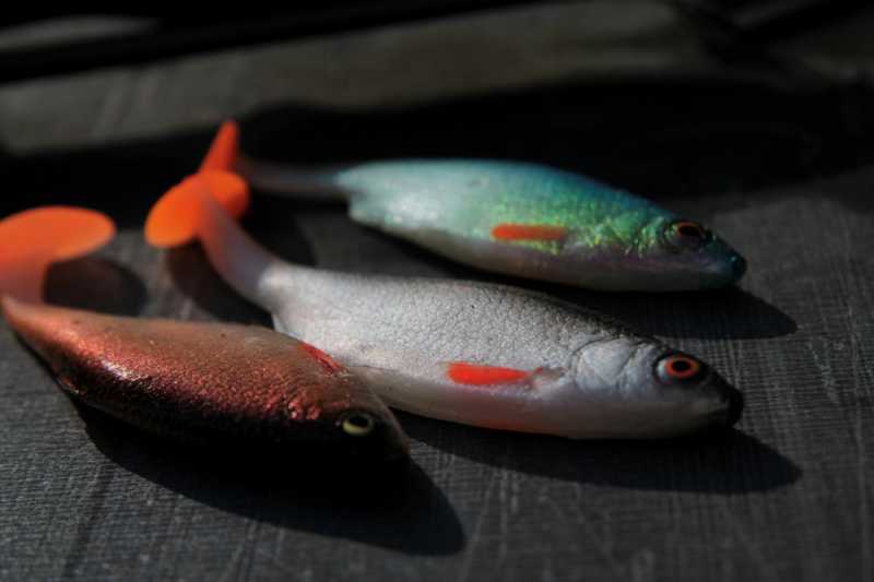 gumy tomasz miernik tm