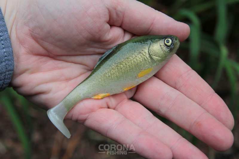 gumy hand made tomasz miernik