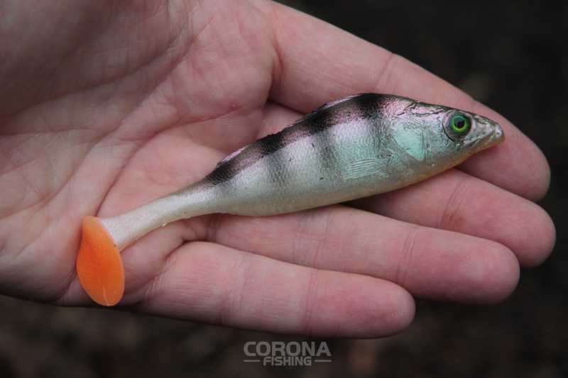 gumy hand made okoń