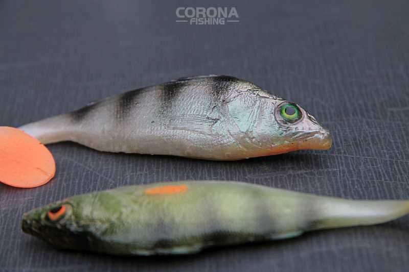 gumy okoń tomasz miernik