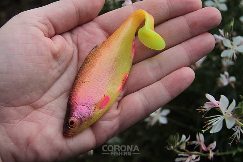 tm płoć guma na szczupaka