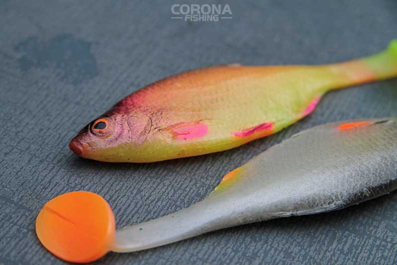 tomasz miernik płoć guma na szczupaka