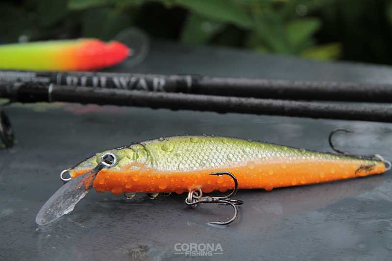 woblery warszawskie hms