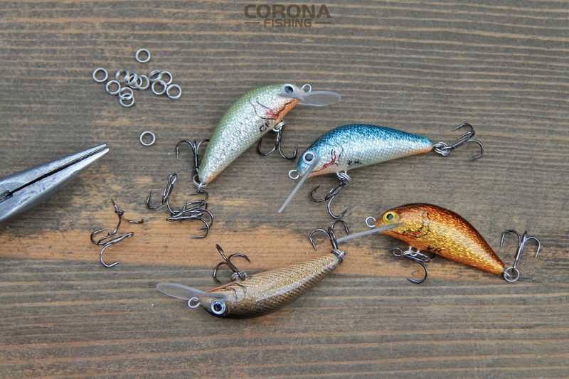 jakie woblery na jazia