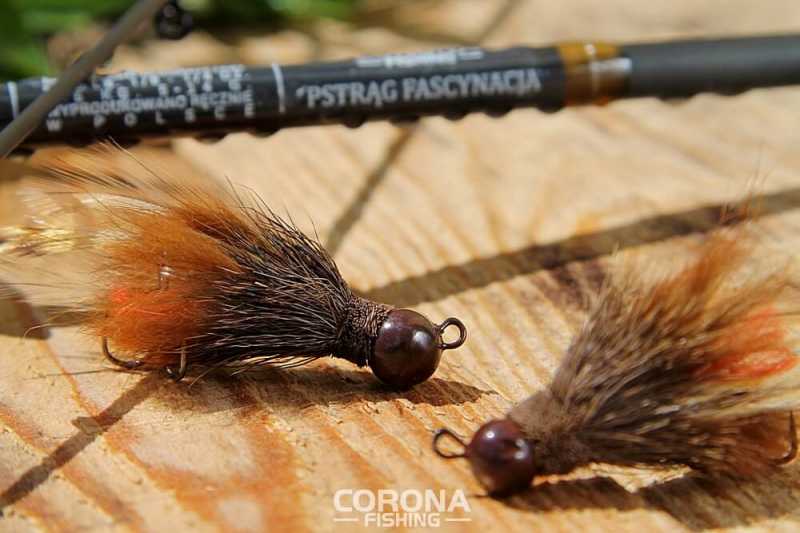 kogut na pstrągi