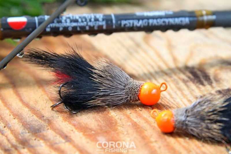 kogut na pstrągi