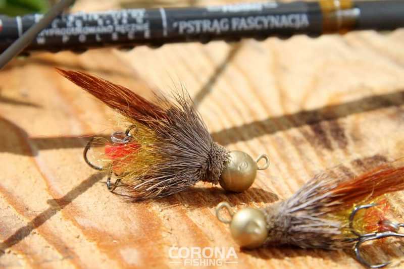 kogut na pstrągi