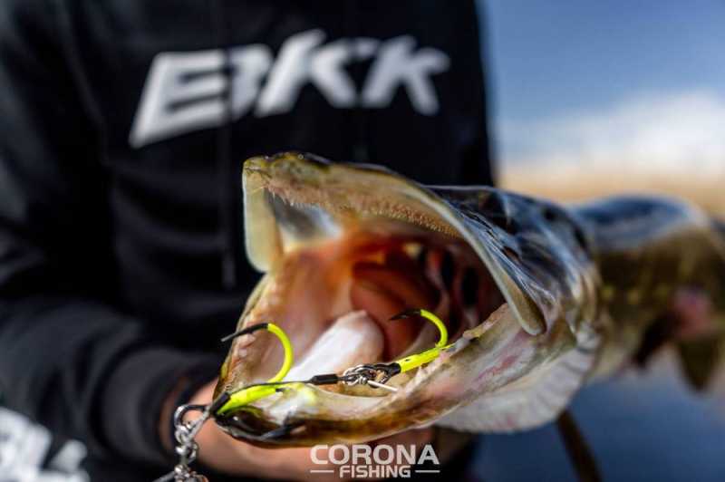 Kotwiczki BKK Spear-21 UVC