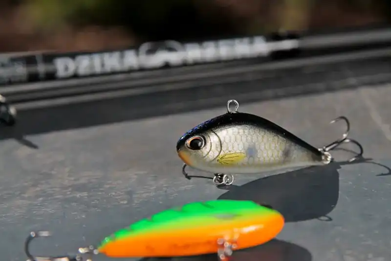 woblery wertyklane cykada