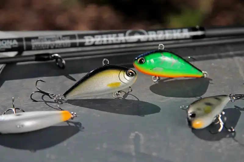 wobler cykada na klenia