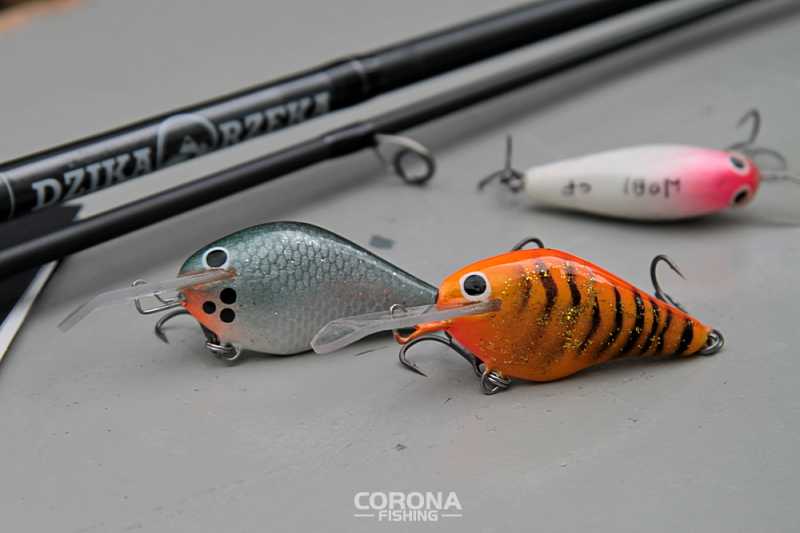 wobler na szybki prąd