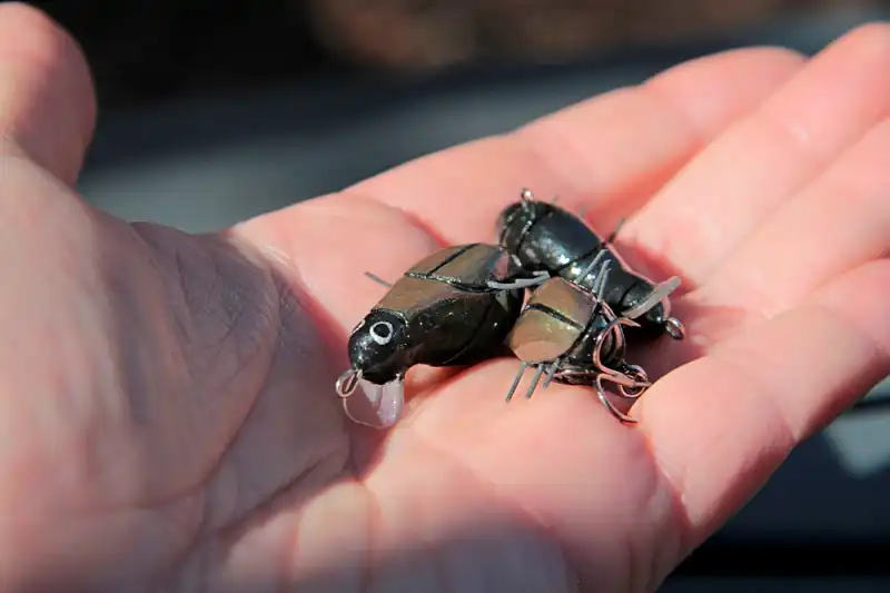 ręcznie robione smużaki mrówka