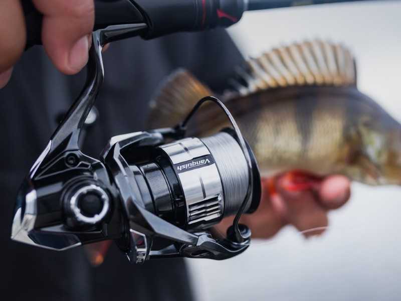 kołowrotek shimano vanquish fc