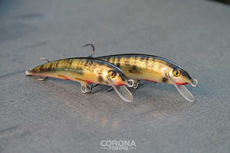 Piotr Mołdoch pracownia roztocze