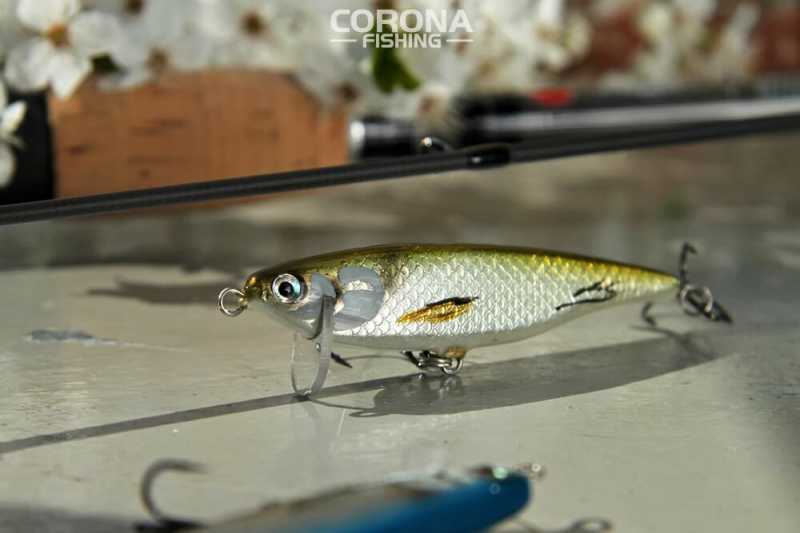 wobler na bolenia pracownia roztocze