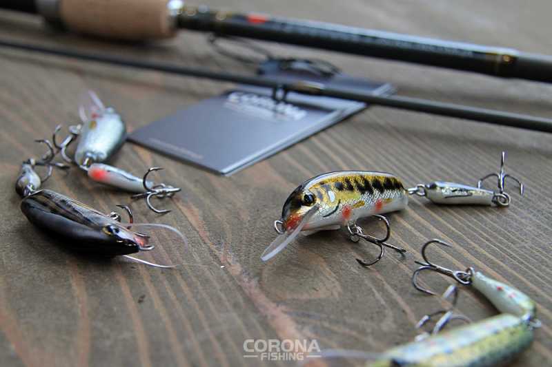 woblery łamane na pstrąga piotr mołdoch