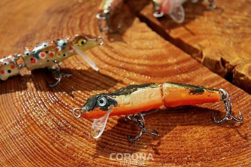 wobler łamany pstrąg