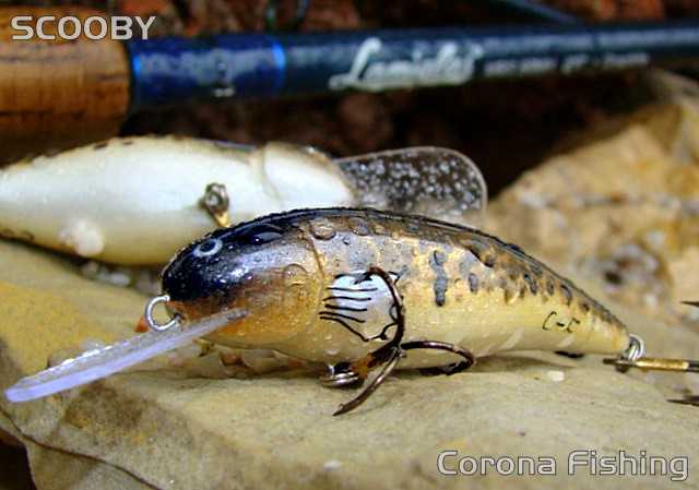 głowacz - pstrągi na woblera