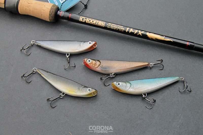 woblery powierzchniwe na bolenia