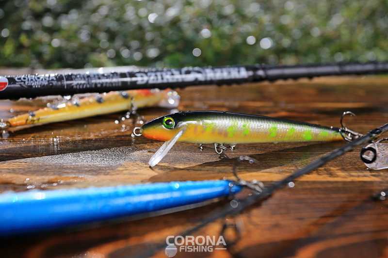 wobler na sandacze w nocy