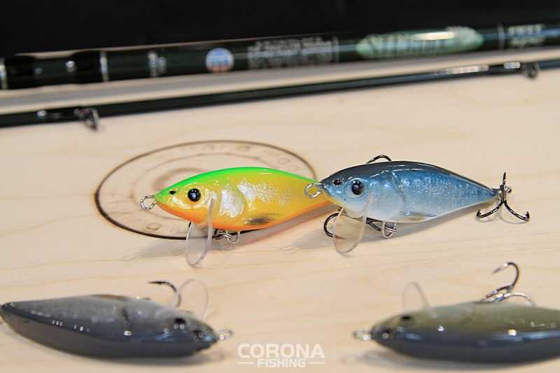 woblery boleniowe sieczka