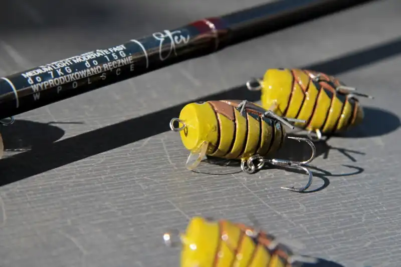 duże smużaki żuki