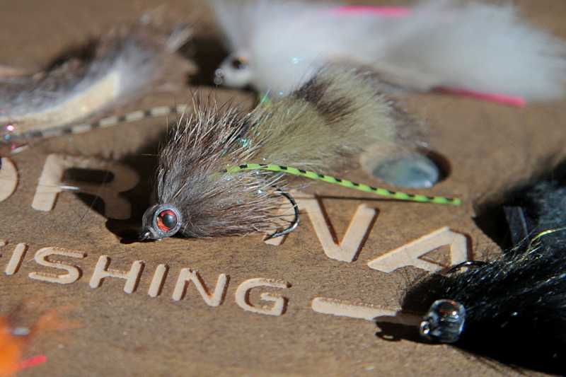 streamer na spinning