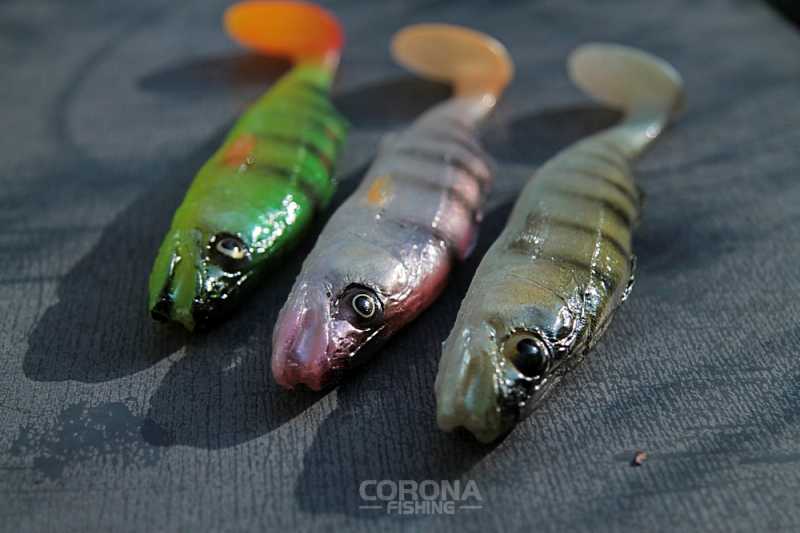 gumy tomasz miernik tm