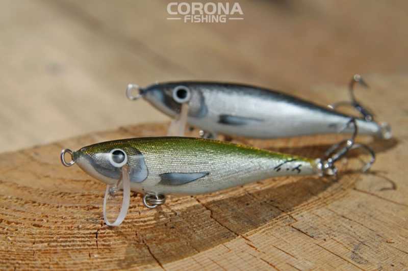 woblery tomasz miernik