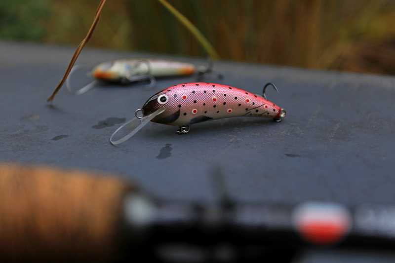 jakie woblery na troć