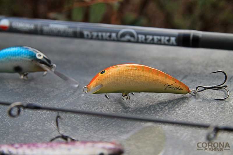 woblery trucha trociowe