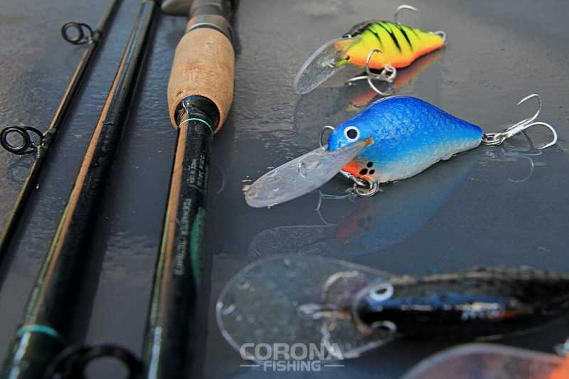 skuteczny wobler na sumy