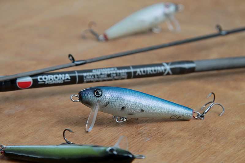 Wobler boleniowy Siggi PG 7 cm kolor BL niebieski grzbiet