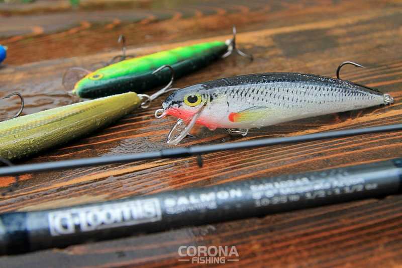 woblery na szczupaka z płytkiej wody